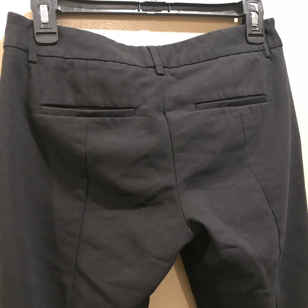 Express Columnist Pants